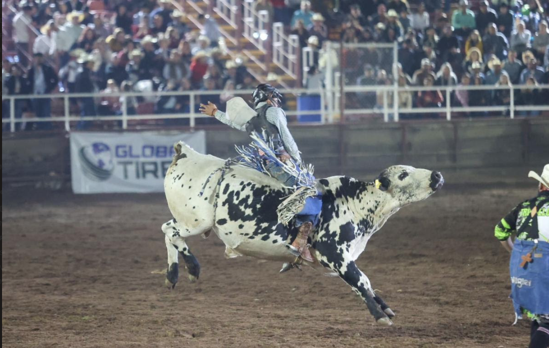 Gobierno de Sonora realizó con éxito la Gran Final del Circuito de Rodeo Sonora 2024 en su tercera edición