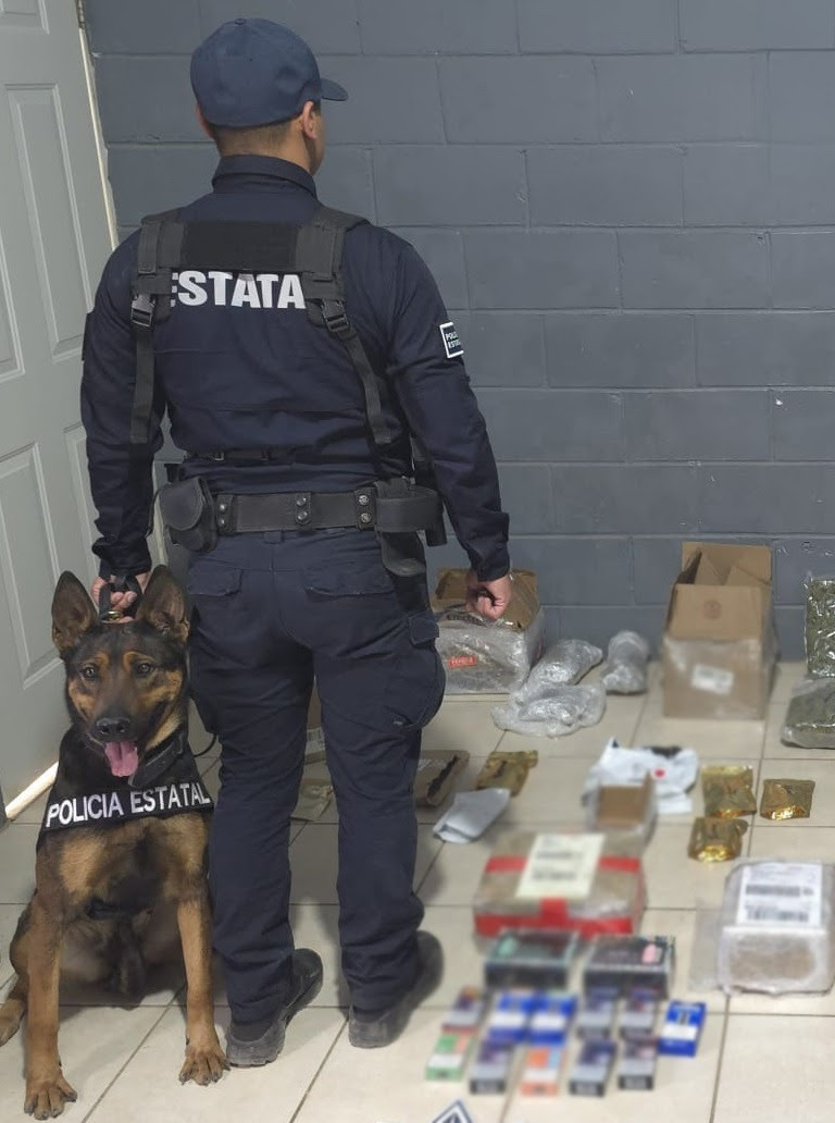 Generan resultados operativos del Gobierno de Sonora en paqueterías de Hermosillo