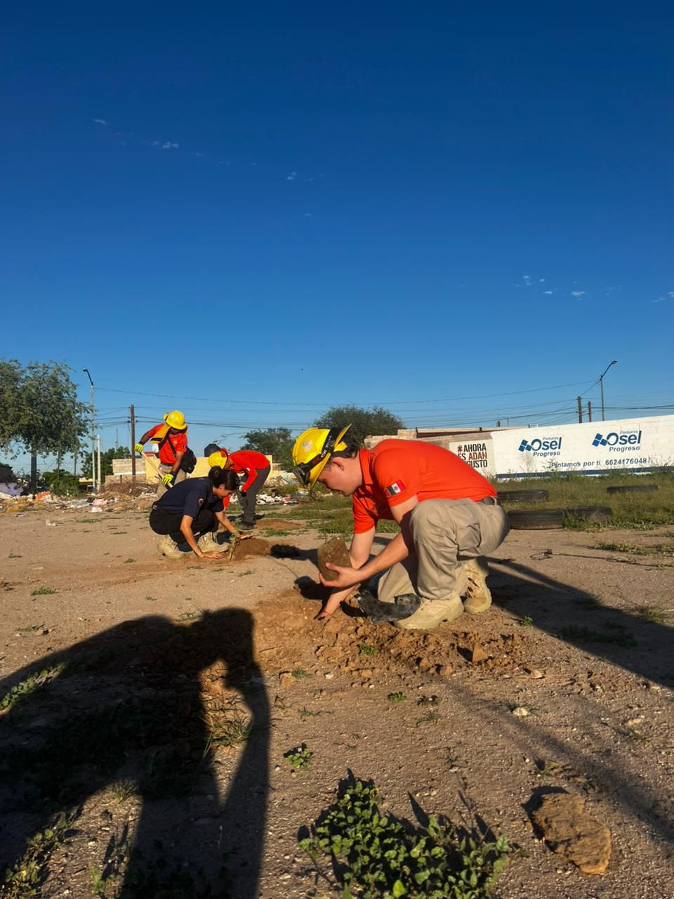 Gobierno de Sonora realiza acciones de reforestación